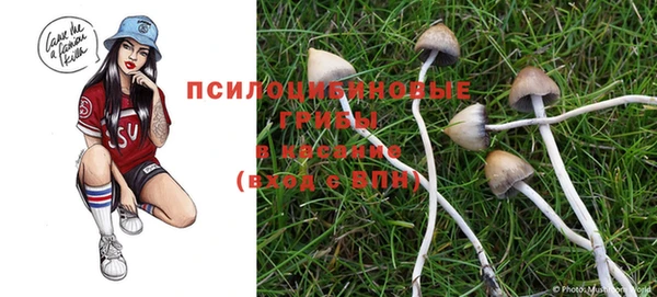 винт Корсаков